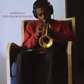 The Color Of Sound album cover