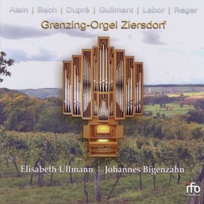 Grenzing-Orgel Ziersdorf (Organ Works By Alain, Bach, Dupré, Guilmant, Labor & Reger) album cover
