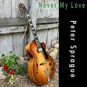 Never My Love album cover