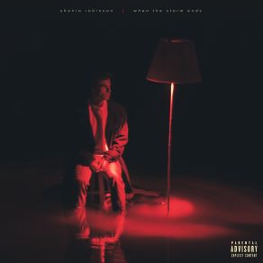 When The Storm Ends album cover