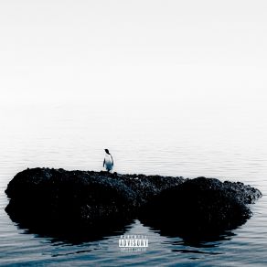 Reverie IV album cover