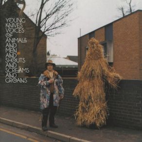 Voices Of Animals And Men And Shouts And Screams And Groans (Remastered) (CD2) album cover