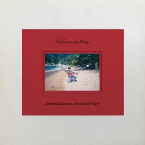 Freundlichbaracudamelodieliedgut album cover