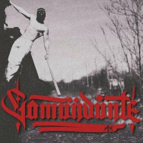 COMANDANTE album cover
