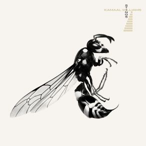 Stings (CD01) album cover