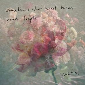 Sometimes What Heart Knows, Head Forgets album cover