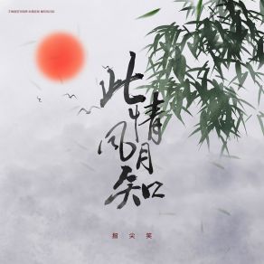 此情风月知 (DJ天天版) album cover