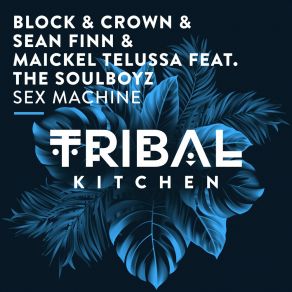 Sex Machine album cover