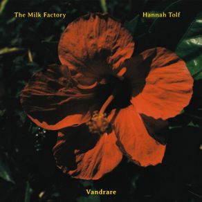 Vandrare album cover