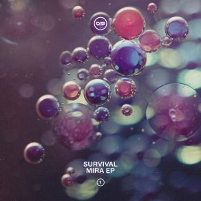 Mira EP - Part 1 album cover