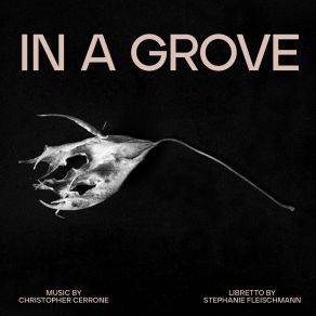 Christopher Cerrone - In A Grove album cover