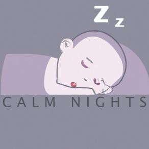 Calm Nights album cover
