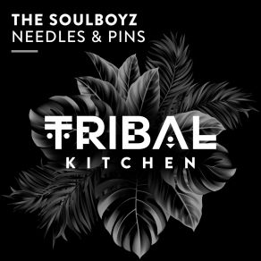 Needles & Pins album cover