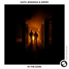 In The Dark album cover