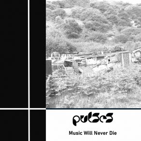 Music Will Never Die album cover