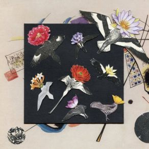 Alula: Captivity album cover