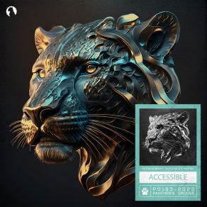 Accessible album cover