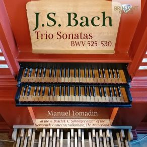 Manuel Tomadin - J. S. Bach - Trio Sonatas BWV 525-530 album cover
