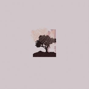 Performances album cover