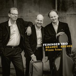Brahms & Krenek: Piano Trios album cover