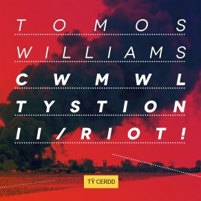Cwmwl Tystion II / Riot! album cover