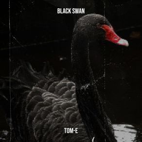 Black Swan album cover