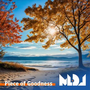 Piece Of Goodness album cover