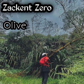 Zackent Zero album cover