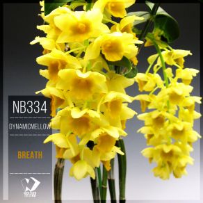 Breath (Original Mix) album cover