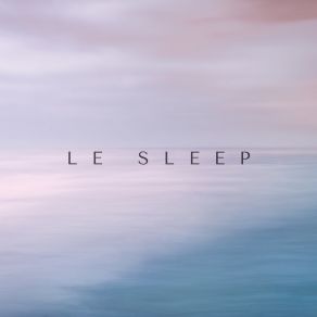 Le Sle album cover