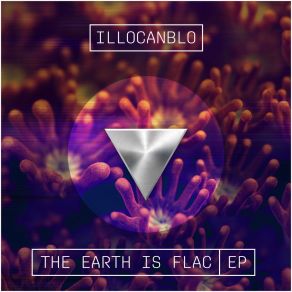 The Earth Is FLAC (Original Version) album cover
