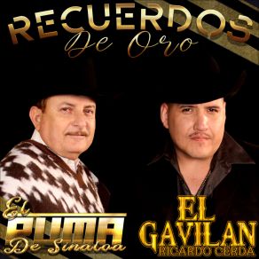 Recuerdos De Oro album cover