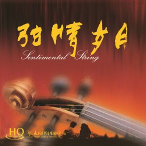 弦情岁月 album cover