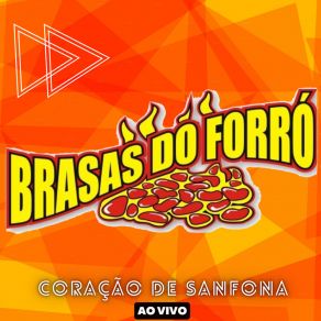 Coração De Sanfona (Ao Vivo) album cover