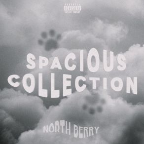 SPACIOUS COLLECTION album cover