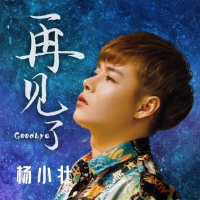 再见了 (DJ天天版) album cover
