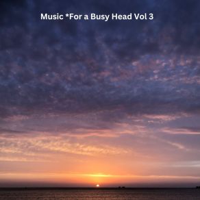 Music For A Busy Head Volume 3 album cover