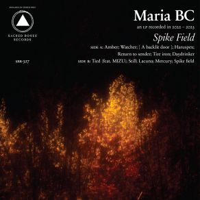 Spike Field album cover
