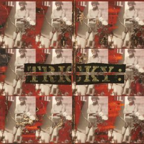 Maxinquaye - Reincarnated (CD5) album cover