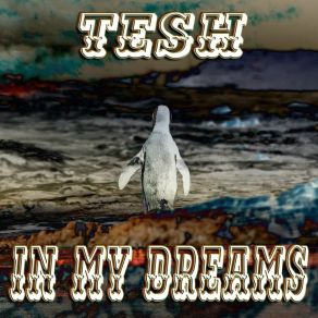 In My Dreams album cover