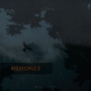 Memories album cover