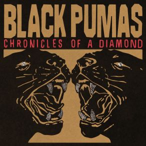 Chronicles Of A Diamond album cover
