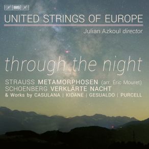 Through The Night album cover