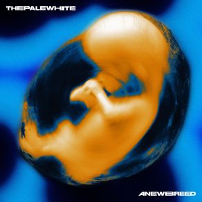 A New Breed album cover