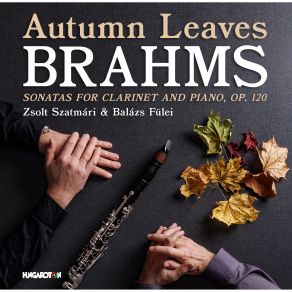 Autumn Leaves album cover