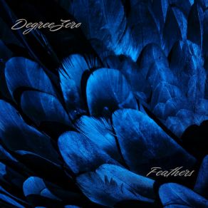 Feathers album cover