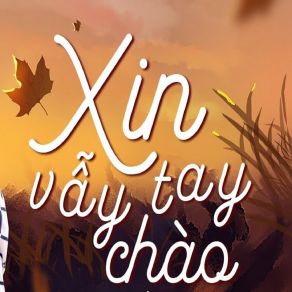 Xin Vẫy Tay Chào album cover