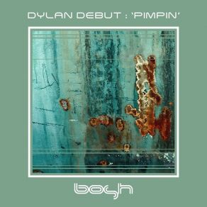 Pimpin' album cover