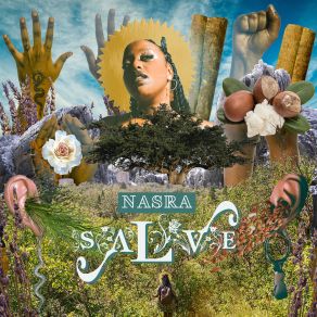 Salve album cover