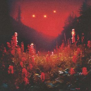 Superbloom album cover